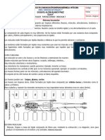 GUIA N.2 SEPTIMO Sistema Oseo