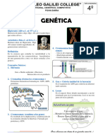 4° Secundaria - Genética - Ficha Diaria