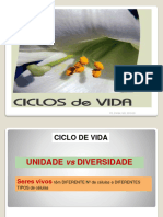 13ciclos Vida