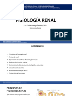 Fisiología Renal