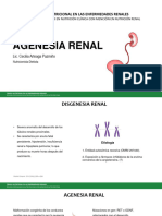 Agenesia Renal - Riñón en Herradura