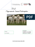 Modulo III, IV y V Mejoramiento Animal Participativo