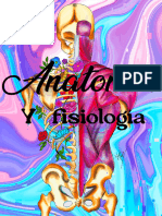 Anatomia