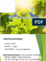 Photosynthesis A