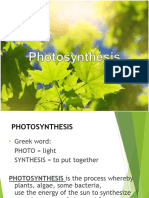 PhotosynthesisA