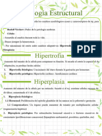 Clases Patología