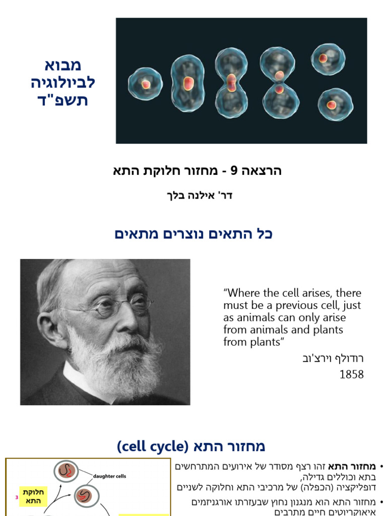Lecture 9 - מחזור התא | PDF