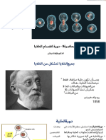 Lecture 9 - מחזור התא.iw.ar