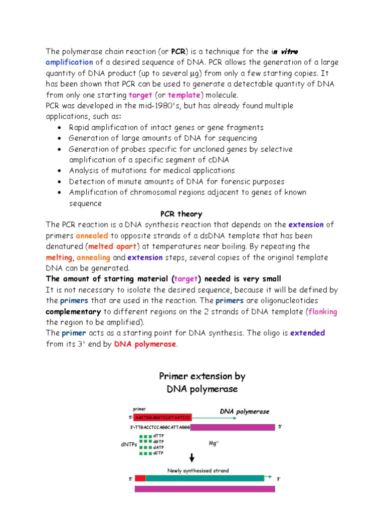 PCR Components and Techniques Overview | PDF | Polymerase Chain ...