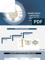 BIOMECANICA DE CARTILAGO ARTICULAR