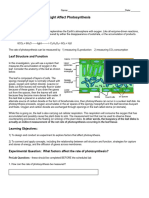 Bio - Photosynthesis Lab Part 1 F21