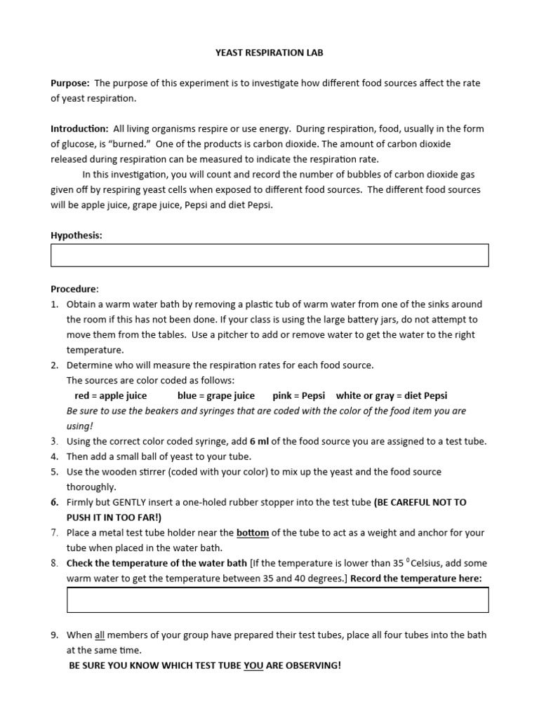 BIO Yeast Fermentation Lab 21 PDF Evidence Yeast