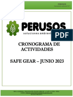 CRONOGRAMA DE ACTIVIDADES Perusos