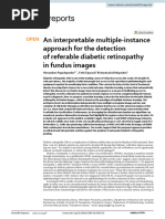 An Interpretable Multiple Instance Approach For The Detection of Referable Diabetic Retinopathy in Fundus Images