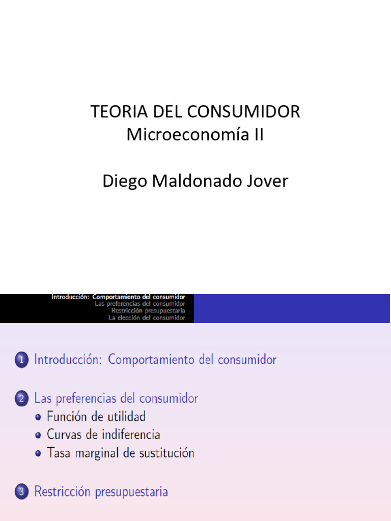 teoria-del-consumidor-pdf