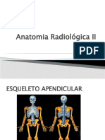 Anatomia Radiológica II