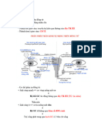 CK Dược Lý