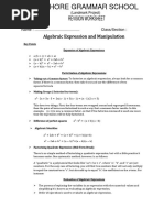 Algebric Expression and Manipulation