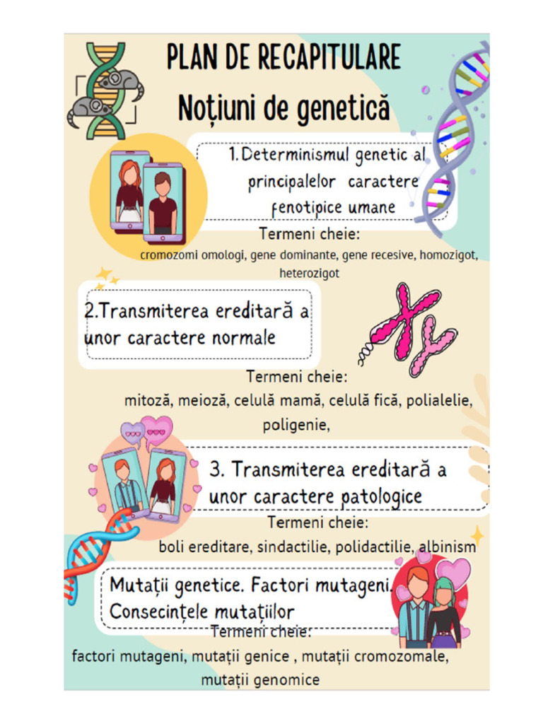 1 Plan de Recapitulare | PDF