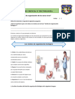 Ficha 03-Los Niveles de Organización de Los Seres Vivos-1ro (1)