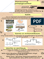 Information Texts in English Infographic Natural Fluro Cardboard Doodle Style