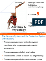 Nervous System