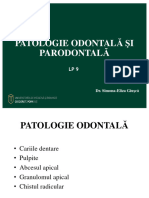 06 LP MD Odontiu Parodontiu