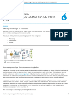 Delivery and Storage of Natural Gas - U.S. EIA - JUNE 2021