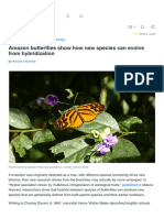 Amazon Butterflies Show How New Species Can Evolv
