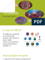 Virusi