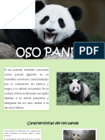 Exposicion-Oso Panda