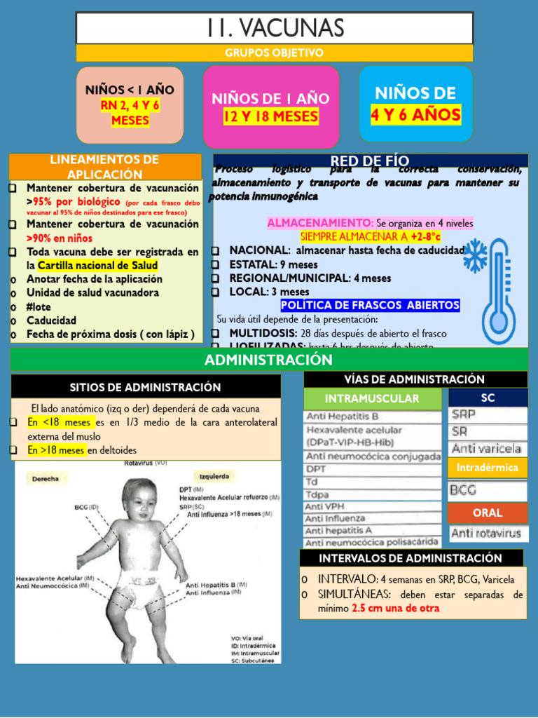 14 Vacunas | PDF | Virus | Vacunas