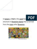Fruit - Wikipedia