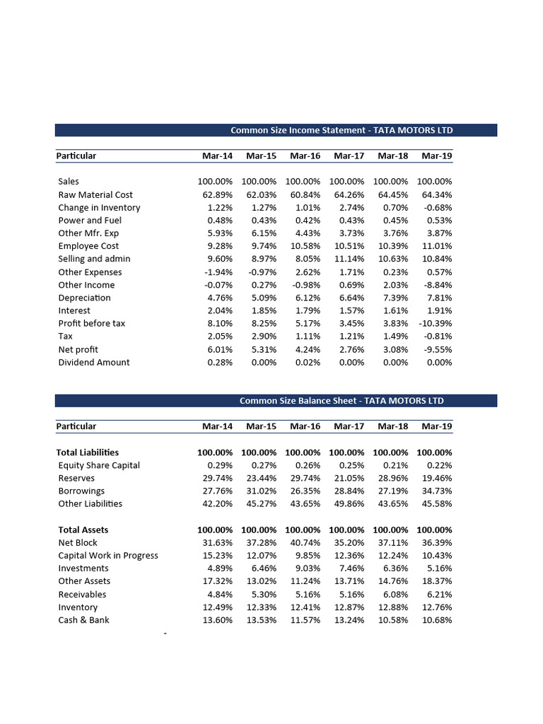 TAMO Common Size Statements | PDF | Equity (Finance) | Balance Sheet