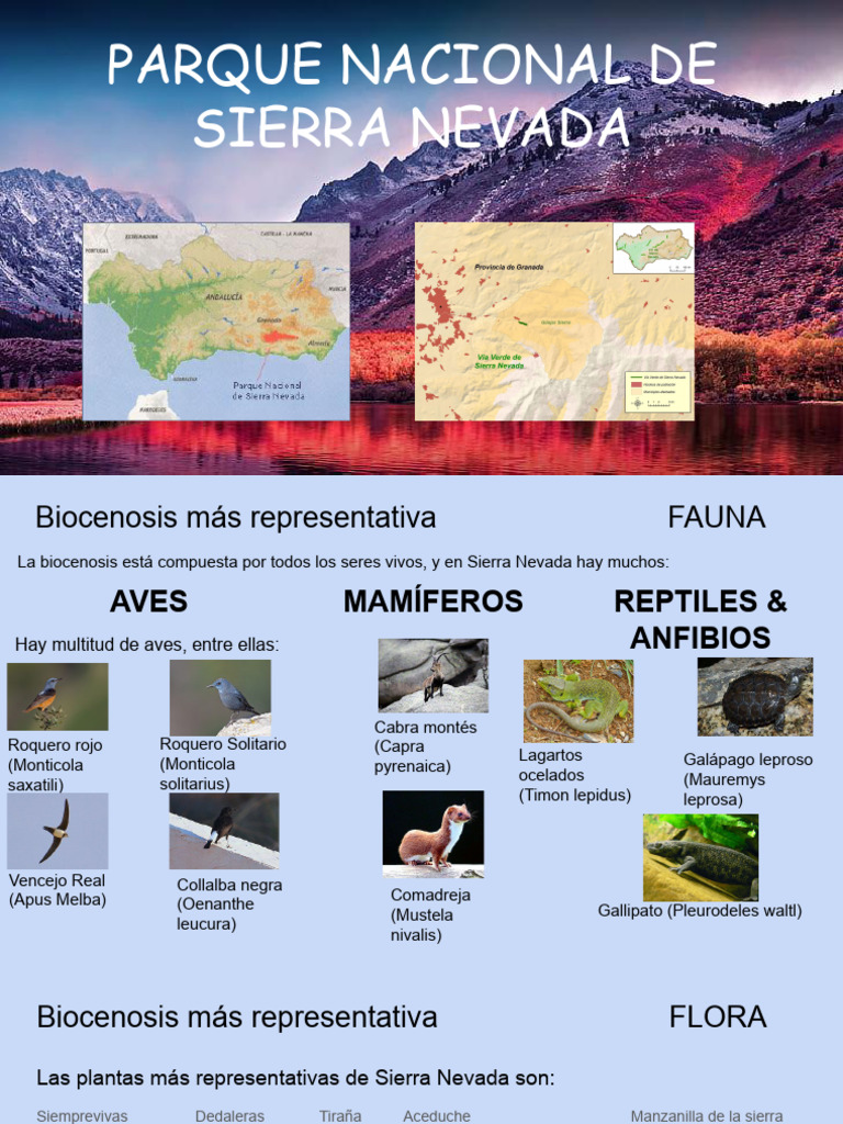 Flora y fauna de Sierra Nevada | PDF