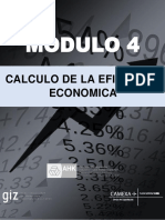 M4 Cálculo.Eficiencia.Económica