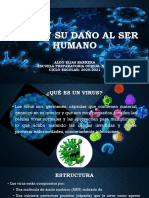 Virus y Enfermedades Que Causan Al Ser Humano