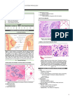 (Pathology) Breast