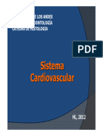 Sistema Cardiovascular 2012
