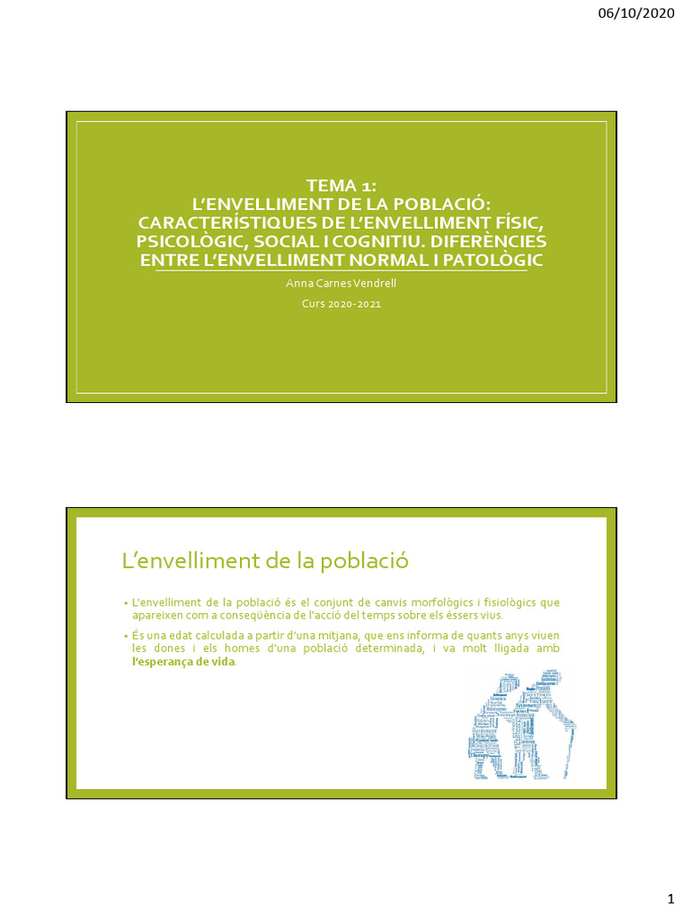 Tema 1 | PDF
