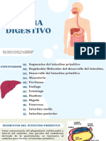 Aparato Digestivo