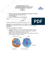 Módulo de 4° - La Célula