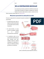 Fisiologia de La Contraccion Muscular