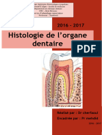 histologie de l organe dentaire
