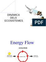 Parametres Dinamica Ecosistema