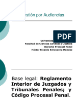 08 PASOS DE UNA AUDIENCIA EN GENERAL