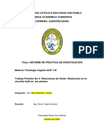 Guia de informe practica REDOX II-2024_editado