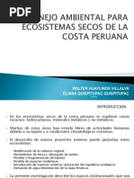 Presentación Walter Huaylinos