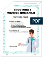T4 Informe Estructura Funcion Humana