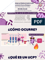 Generación de Calor Por La Mitocondria